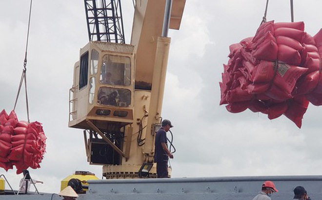 Công nhân đưa gạo lên tàu xuất khẩu tại cảng Mỹ Thới, thành phố Long Xuyên, An Giang - Ảnh: BỬU ĐẤU