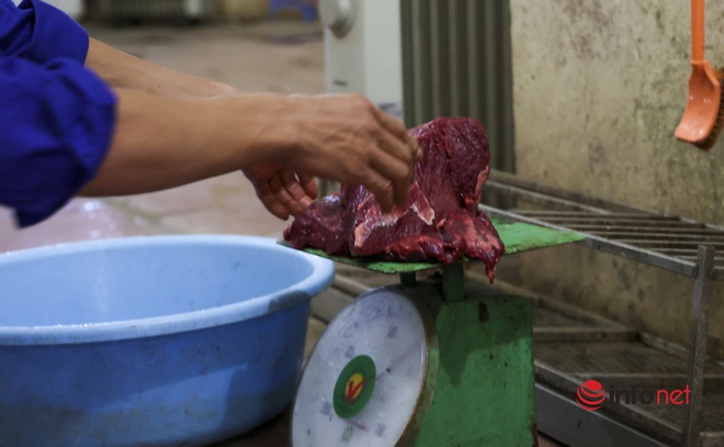 Bảo mẫu hơn 20 năm chăm sóc các chúa sơn lâm ở Công viên Thủ Lệ - Ảnh 14.