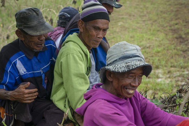 Những sự thật thú vị tại lễ hội đua bò Indonesia - Ảnh 5.