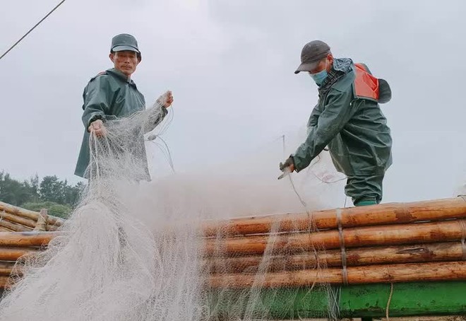 Ngư dân đón lộc biển đầu năm, tàu cứ cập bờ là cháy hàng - Ảnh 6.