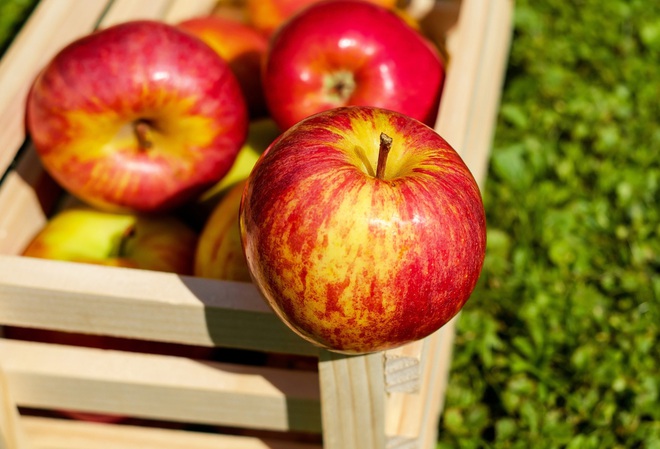 Ăn táo giúp phổi sạch: Tiết lộ thời điểm ăn táo tốt nhất trong ngày để thải độc, cả đời không lo ung thư phổi và nhiều bệnh khác - Ảnh 1.