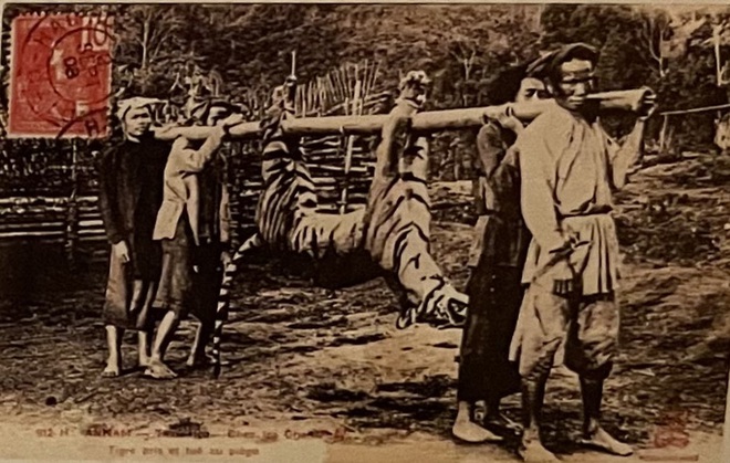 Ly kỳ tục thờ Ông Cọp ở Khánh Hòa - Ảnh 1.