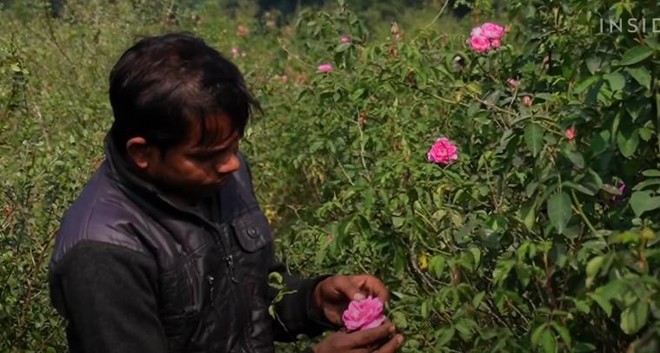 Toàn cảnh quy trình sản xuất nước hoa mùi mưa giá đắt cắt cổ tại Ấn Độ - Ảnh 1.