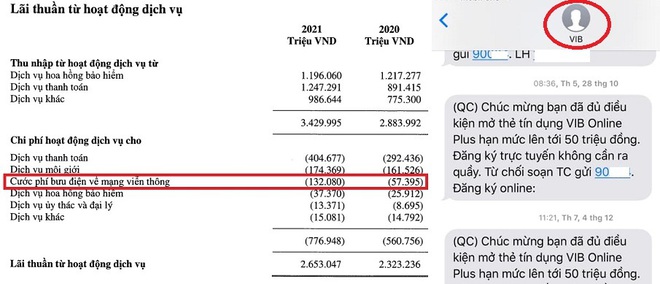 Ngân hàng phải trả phí SMS tốn kém nhất cho nhà mạng? - Ảnh 2.