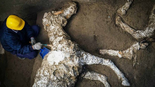 Pompeii: Sự hồi sinh của thành phố Italy cổ đã từng lụi tàn - Ảnh 7.