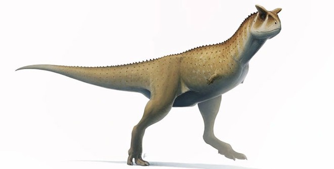 Các nhà khảo cổ vừa phát hiện một loài khủng long cụt tay, nhưng chúng tàn mà không phế - Ảnh 5.