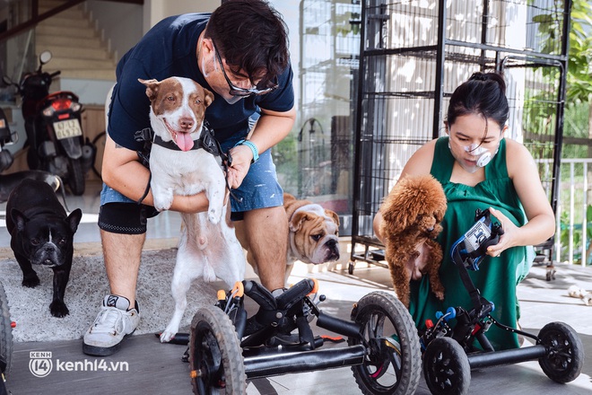 Cặp chồng Tây vợ Việt đón Tết bên đàn con chó mèo khuyết tật ở Sài Gòn: Chúng mình sẽ đến các trạm cứu hộ, tự tay lắp ráp và tặng xe lăn cho các bé! - Ảnh 10.