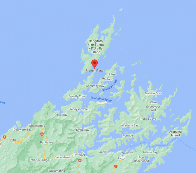 Chú cá heo dẫn đường tàu thuyền qua eo biển New Zealand trong 24 năm - Ảnh 2.