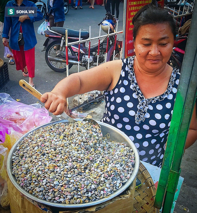 Ngâm mình dưới nước cào thứ ăn là nghiện, ngư dân Đà Nẵng đút túi tiền triệu mỗi ngày - Ảnh 7.