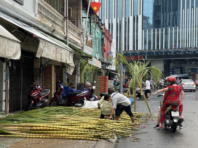  Đội mưa đi mua mía vàng  - Ảnh 2.