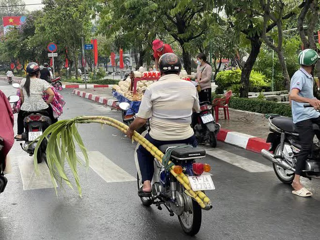  Đội mưa đi mua mía vàng  - Ảnh 5.