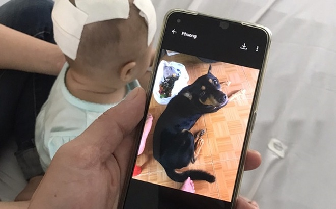Em bé 6 tháng tuổi đã được cứu sống và hình ảnh con chó cắn bé được người mẹ chụp hình qua điện thoại.
