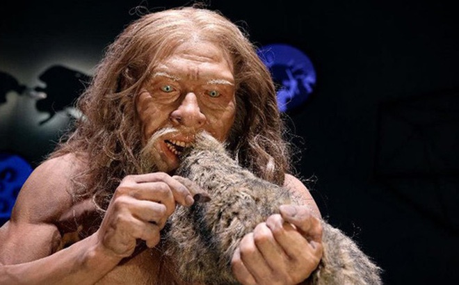 Loài người cổ Neanderthals là những thợ săn thiện chiến nhưng rất tiếc là kém khả năng thích nghi - Ảnh: Bảo tàng Neanderthals