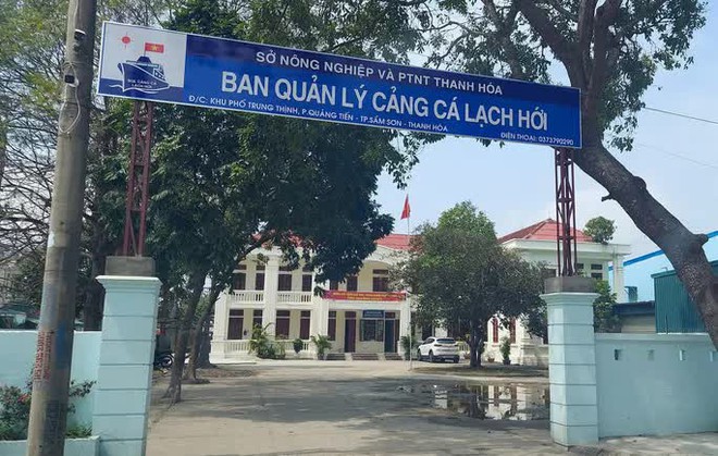 Tham gia đánh bạc, giám đốc cảng cá bị đình chỉ công tác - Ảnh 1.