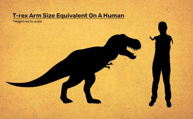 Điều gì sẽ xảy ra nếu con người có tay nhỏ như khủng long bạo chúa?
