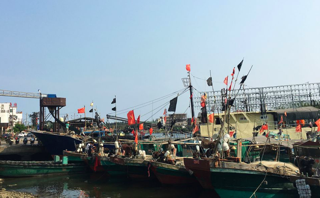 Đội tàu cá Trung Quốc ở đảo Hải Nam tháng 4/2016. (Ảnh: Reuters)