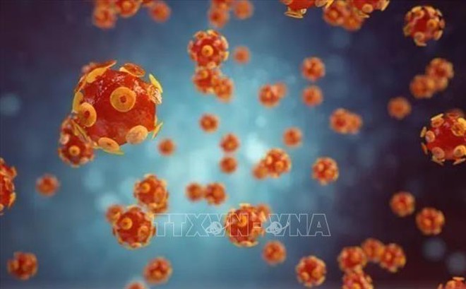 Hình ảnh mô phỏng virus gây bệnh viêm gan. Ảnh: Getty Images/TTXVN