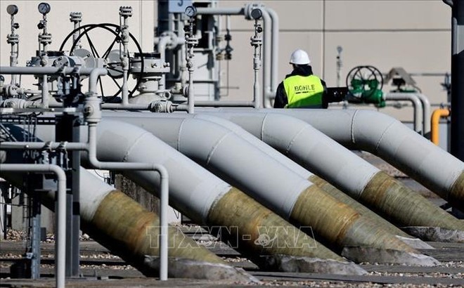 Đường ống dẫn khí đốt Dòng chảy phương Bắc 1 tại Lubmin, Đức, ngày 8/3/2022. Ảnh: Reuters/TTXVN