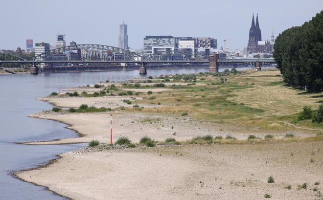Sông Rhine có mực nước thấp trong đợt nắng nóng vào ngày 18/7 ở Cologne, Đức. Ảnh: Getty Images
