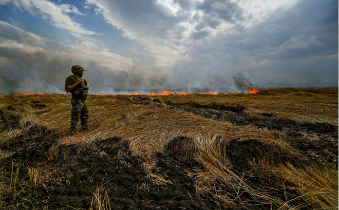 Một lính Ukraine đứng trên cánh đồng lúa mì đang cháy gần ranh giới 2 tỉnh Zaporizhzhia và Donetsk ngày 17/7. (Ảnh: Reuters)