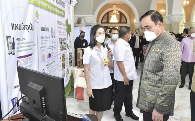 Thủ tướng Thái Lan Prayut Chanocha (phải) nghe giới thiệu về việc sử dụng cần sa vì mục đích y tế tại Tòa nhà Chính phủ vào tháng 6/2022. Ảnh: Chính phủ Thái Lan.