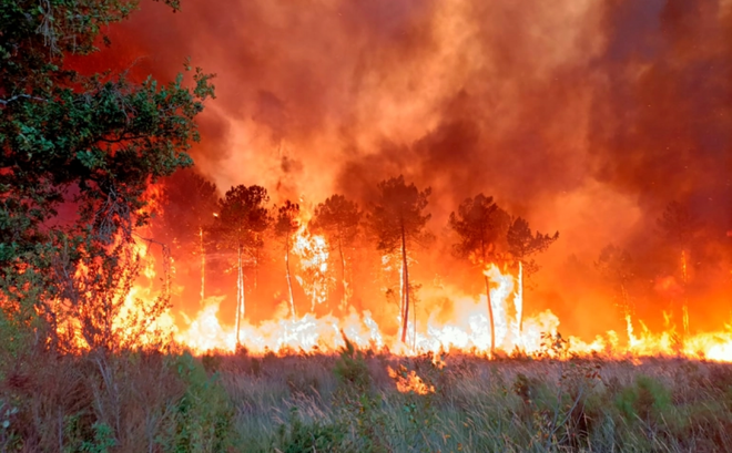 Cháy rừng gần Landiras, Tây Nam nước Pháp hôm 15/7. Ảnh: AP