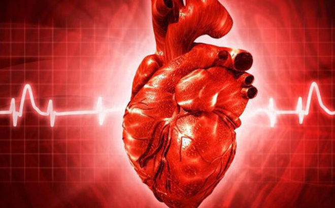 Một trong những nguyên nhân gây tử vong lớn nhất trên thế giới là bệnh tim - Ảnh: Cryst Run Healthcare