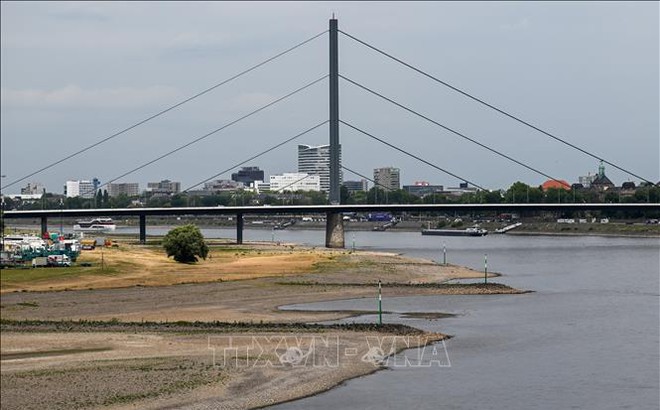 Sông Rhine đoạn chảy qua Duesseldorf, miền Tây Đức bị cạn một phần, ảnh hưởng tới hoạt động vận tải, ngày 25/7/2022. Ảnh: AFP/TTXVN