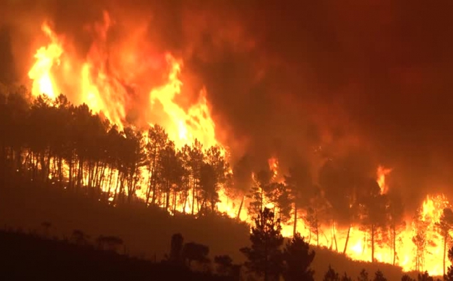 Đám cháy tại khu vực Serra da Estrela, Bồ Đào Nha. Nguồn: Reuters