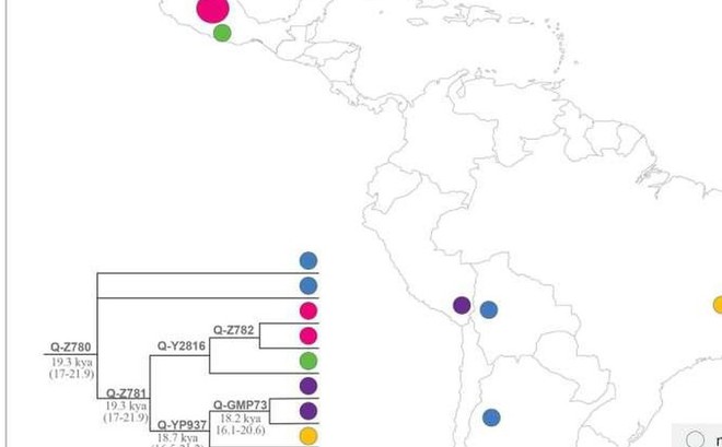 Nhóm nghiên cứu tìm thấy bằng chứng nhiễm sắc thể của người sống ở Nam Mỹ từ 18.000 năm trước.