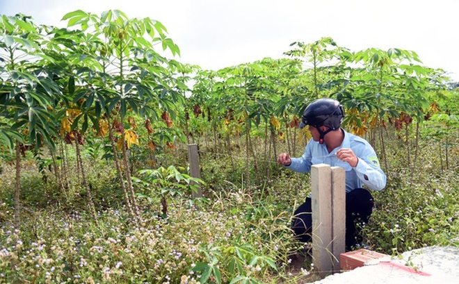 Lực lượng chức năng phường Tam Phước, TP Biên Hòa, Đồng Nai kiểm tra việc phân lô bán nền trái phép trên địa bàn - Ảnh: A LỘC