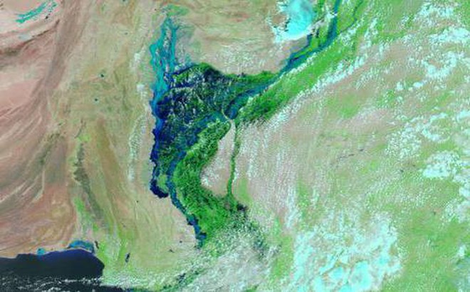 Sông Indus bị tràn bờ và làm ngập một khu vực rộng khoảng 100 km. Ảnh: NASA