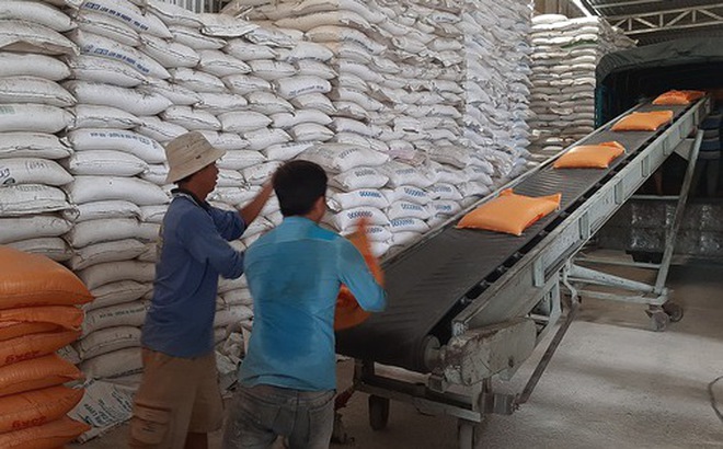 Tại một doanh nghiệp chế biến gạo của Việt Nam - Ảnh: TTO