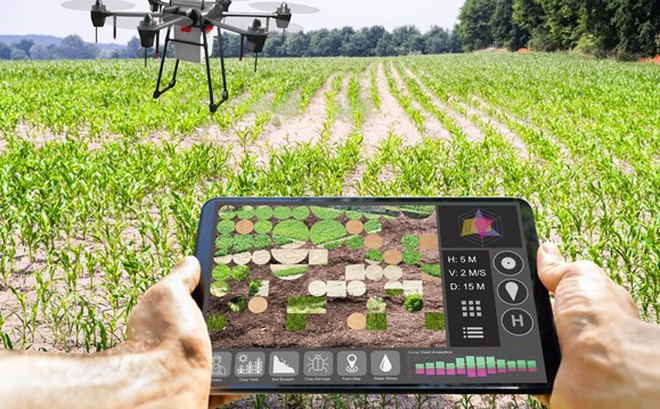 Ứng dụng công nghệ vào nông nghiệp trong điều kiện khô hạn. Ảnh: The Guardian.