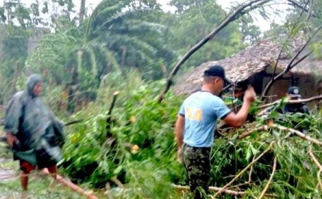 Cây đổ trên phố do bão Nuro ở Quezon. Nguồn Philstar.