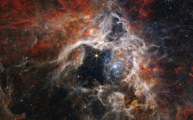 Kính viễn vọng James Webb, vũ khí mới của nhân loại trong việc khám phá vũ trụ. Thăng bằng công nghệ tiên tiến, kính viễn vọng sẽ đưa chúng ta đến những khoảng không gian chưa từng được khám phá. Hãy cùng đi tìm lời giải mã những bí ẩn của vũ trụ qua loạt hình ảnh về kính viễn vọng này.