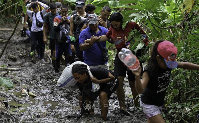 Người di cư từ Venezuela băng qua rừng rậm Darien ở Panama, ngày 13/10/2022. Ảnh: AFP/TTXVN