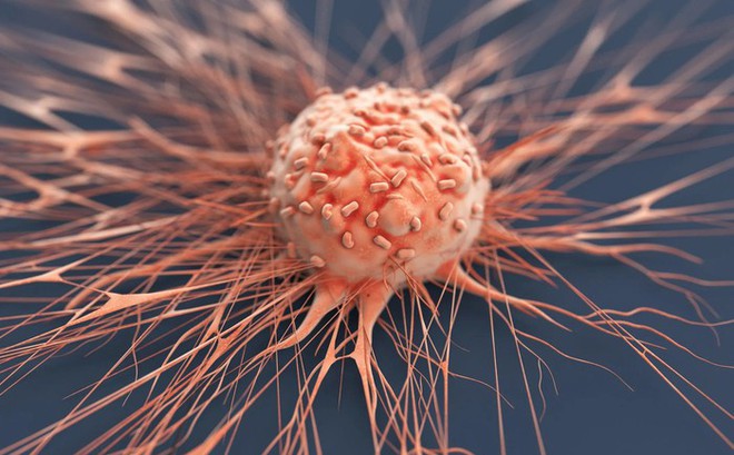 Hình ảnh minh họa tế bào ung thư (Ảnh: Tribune)