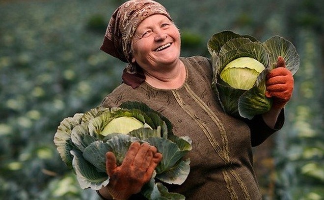 Nông sản là một trong những mặt hàng chính Ukraine xuất khẩu sang Mỹ.
