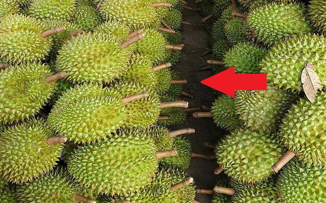 EU kiểm tra dư lượng thuốc trừ sâu với mặt hàng 2 tỷ USD vừa lập kỷ lục xuất khẩu chưa từng có của VN