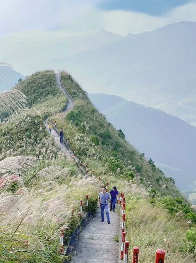 Ngoài biển, Quảng Ninh còn có một vùng núi hoang sơ được ví như "Sa Pa thu nhỏ", cách Hạ Long hơn 100km - Ảnh 19.