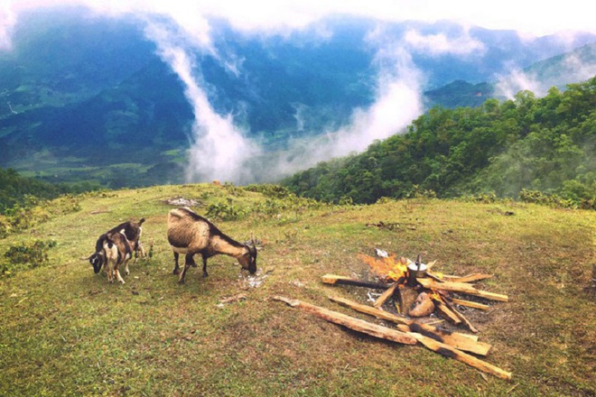 Ngoài biển, Quảng Ninh còn có một vùng núi hoang sơ được ví như "Sa Pa thu nhỏ", cách Hạ Long hơn 100km - Ảnh 6.