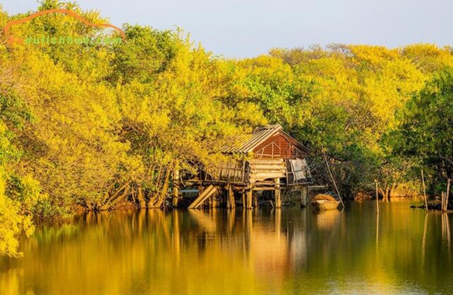 Rừng ở Huế thuộc hệ "cực quý hiếm" của Đông Nam Á, cách thành phố hơn 10km, cảnh sắc thay đổi theo mùa - Ảnh 5.