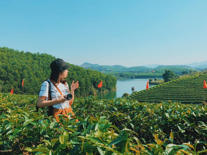 Ngoài biển Cửa Lò, Nghệ An còn có những "ốc đảo xanh" độc đáo: Cảnh được nhận xét không giống nơi nào - Ảnh 9.