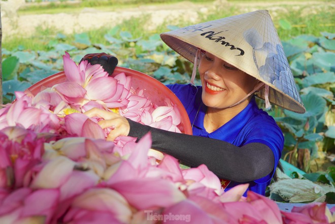 Ra đầm hái sen lúc rạng sáng, mỗi ngày thu tiền triệu- Ảnh 5.