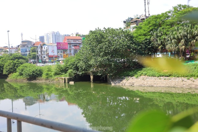 Nước chuyển màu xanh như nước Hồ Gươm, sông Tô Lịch bỗng 'nên thơ, trữ tình'- Ảnh 3.