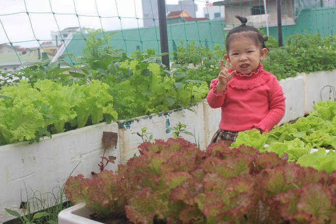 Nữ đầu bếp trồng dưa hấu trên sân thượng, sau 2 mùa thu hoạch "khủng", con số khiến tất cả bất ngờ- Ảnh 12.