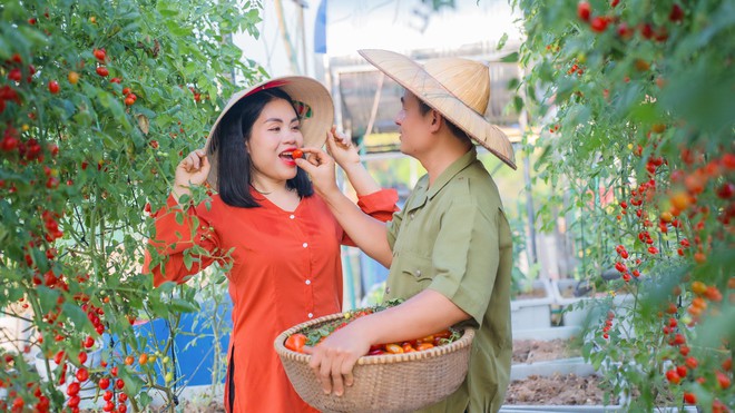 Nữ đầu bếp trồng dưa hấu trên sân thượng, sau 2 mùa thu hoạch "khủng", con số khiến tất cả bất ngờ- Ảnh 8.