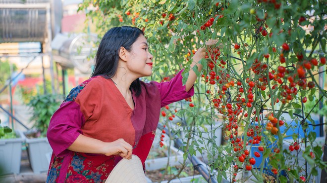 Nữ đầu bếp trồng dưa hấu trên sân thượng, sau 2 mùa thu hoạch "khủng", con số khiến tất cả bất ngờ- Ảnh 10.