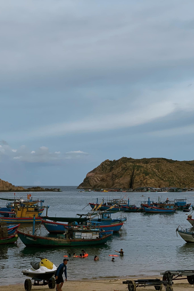 Phát hiện bãi biển đẹp hoang sơ, bình dị gần Quy Nhơn, du khách nhận xét "siêu riêng tư, ít người biết" - Ảnh 5.